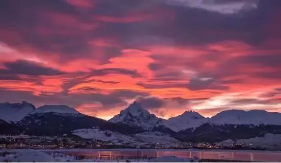 世界杯决赛潘帕斯雄鹰高卢,世界杯潘帕斯进球