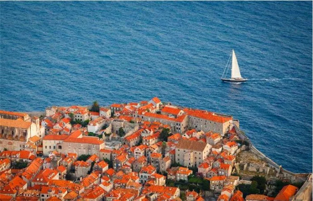 世界杯决赛潘帕斯雄鹰高卢,格子军团vs潘帕斯雄鹰复仇之刃