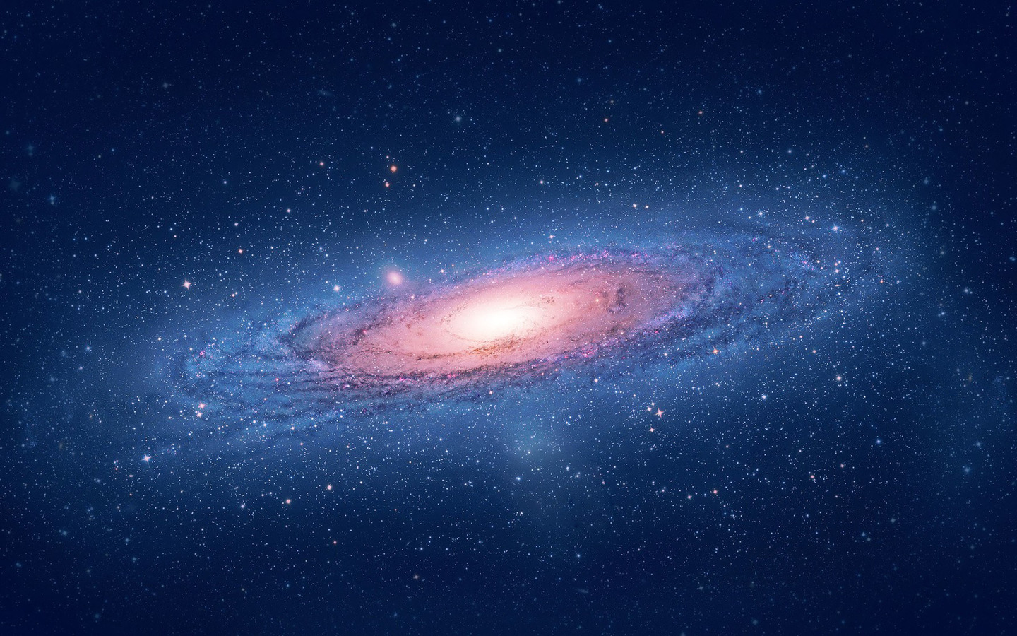 世界杯胖大叔跳舞,世界杯大叔表演