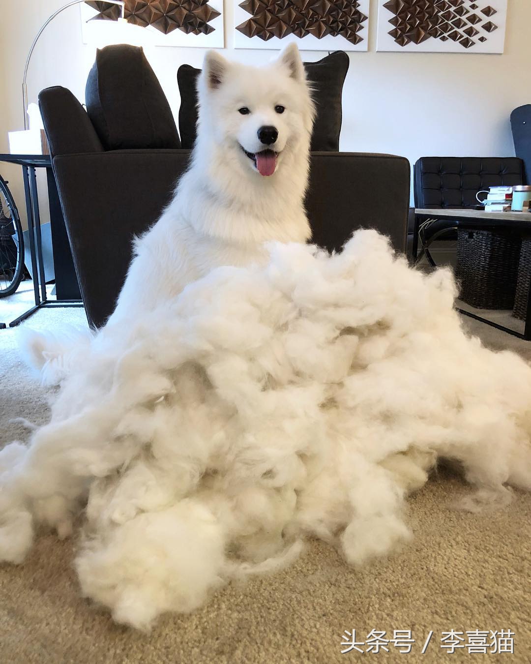 明明可以靠颜值吃饭却偏偏靠力气,明明可以靠颜值吃饭偏偏靠嘴巴