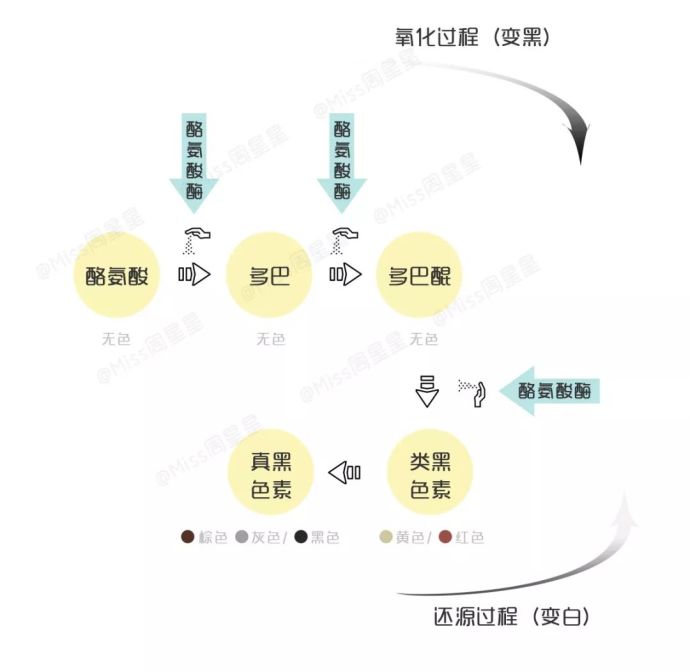 25岁经常熬夜要怎么补,35岁经常熬夜用什么护肤品