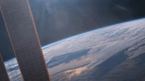 不间断直播180个小时,24小时直播撸猫