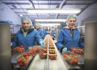 区块链食品安全的应用案例,区块链溯源的数据安全性