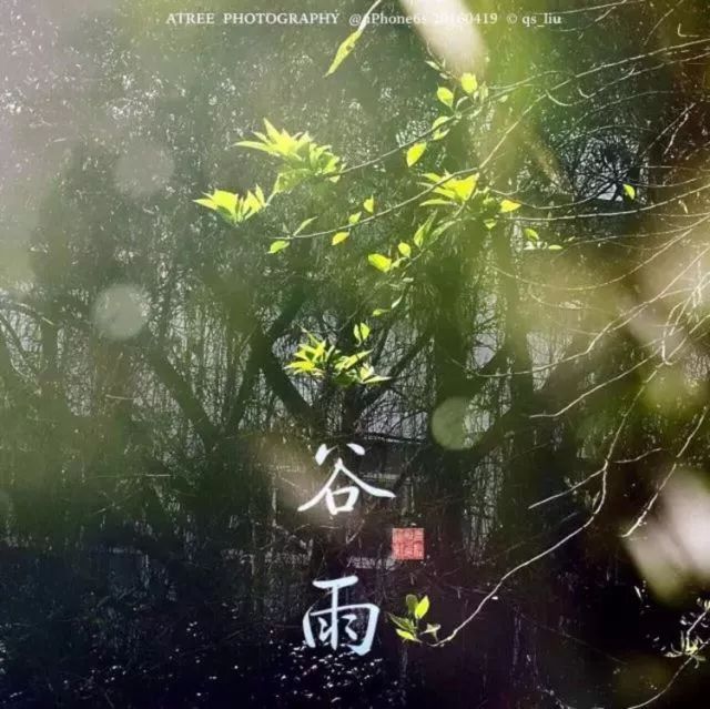 夏至在最短的夜陪你做最长的梦,夏至是白天对你思念最长的一天