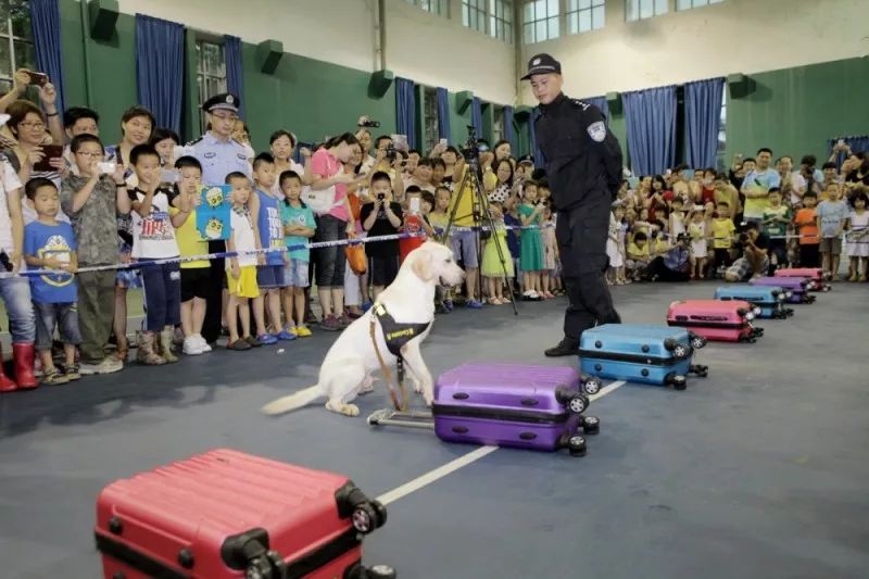 拱北海关缉毒犬,缉毒犬拱北海关