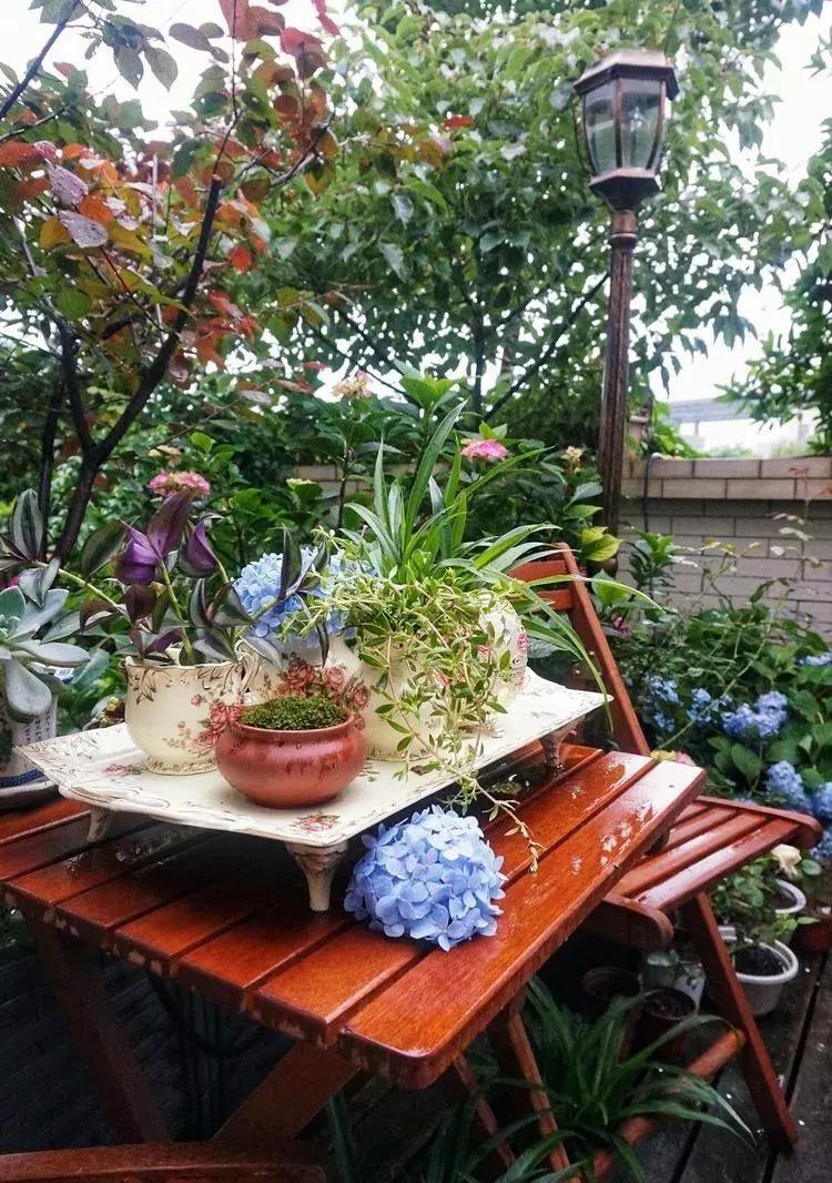 香香的花园自拍杆,香香的花围墙推荐