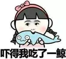 温州哪所初中招体育特长生,温州2024中考特长生招生方案