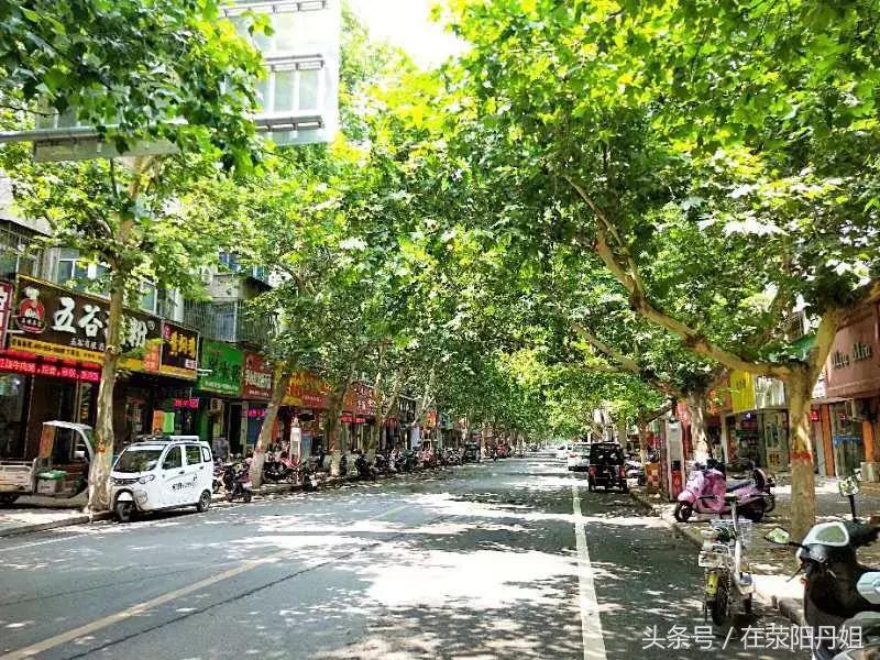 荥阳明天的温度,荥阳天气温度是多少