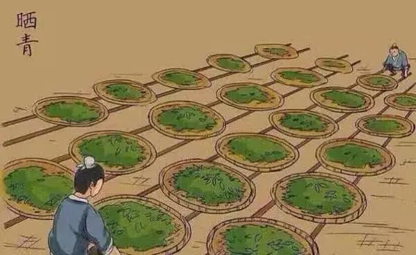 绿茶如何辨别优劣,绿茶如何分辨茶叶好坏