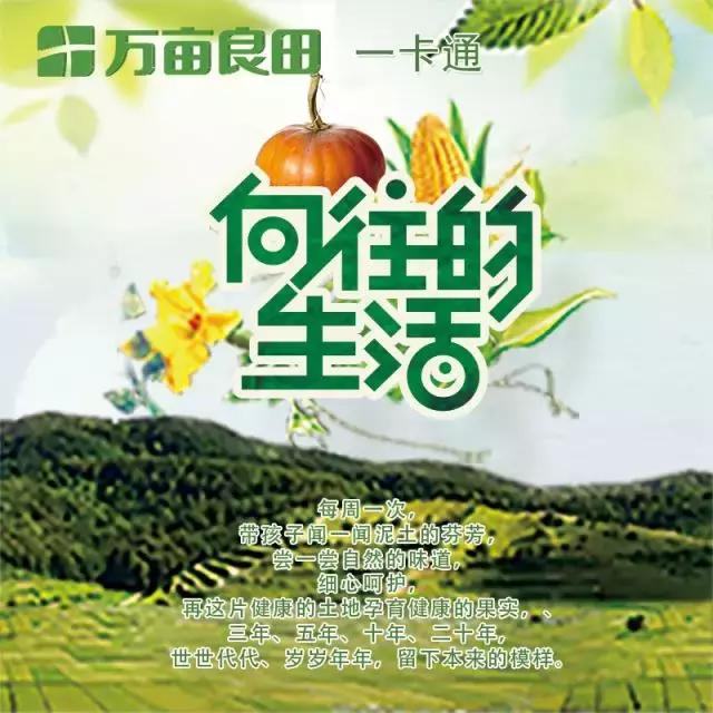 京郊7月采摘好去处,江宁农场采摘一日游