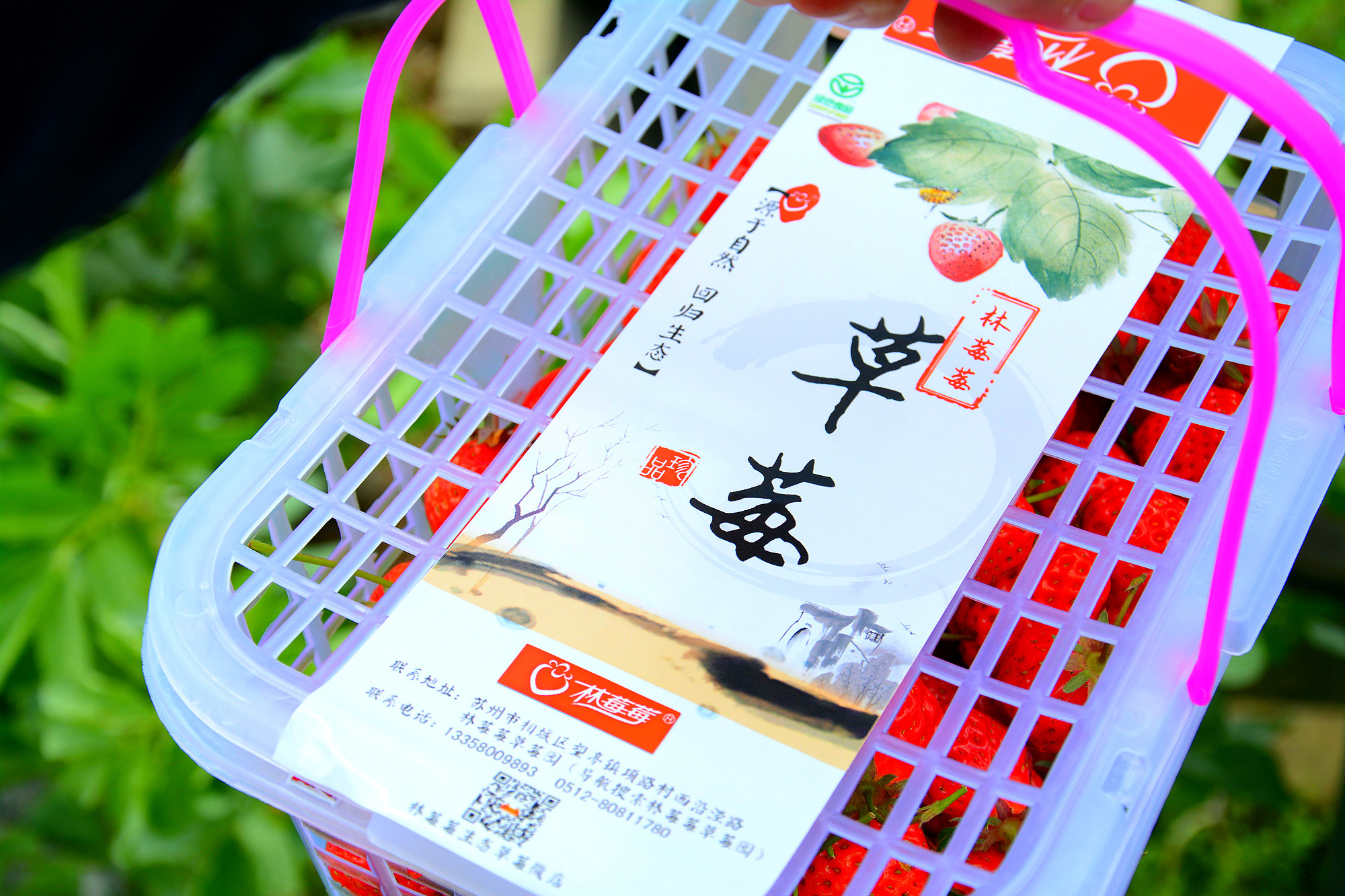 苏州哪些景点可以看小桥流水,只有老苏州人才知道的小众景点