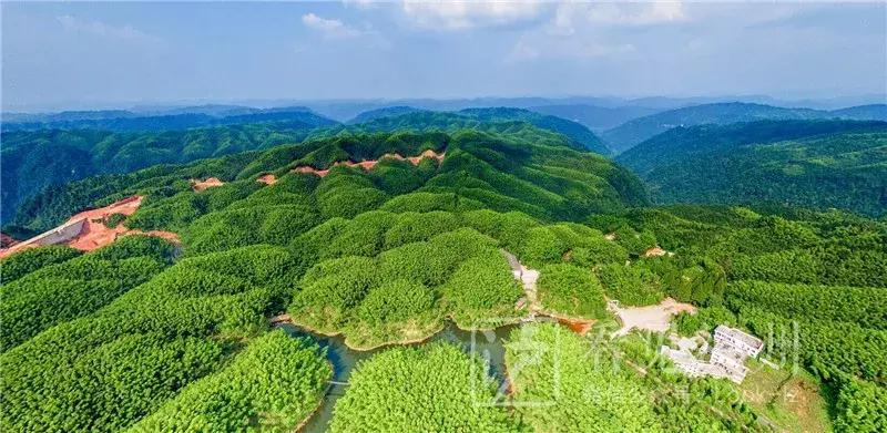 泸州最美乡镇,泸州是国家优秀的旅游城市吗