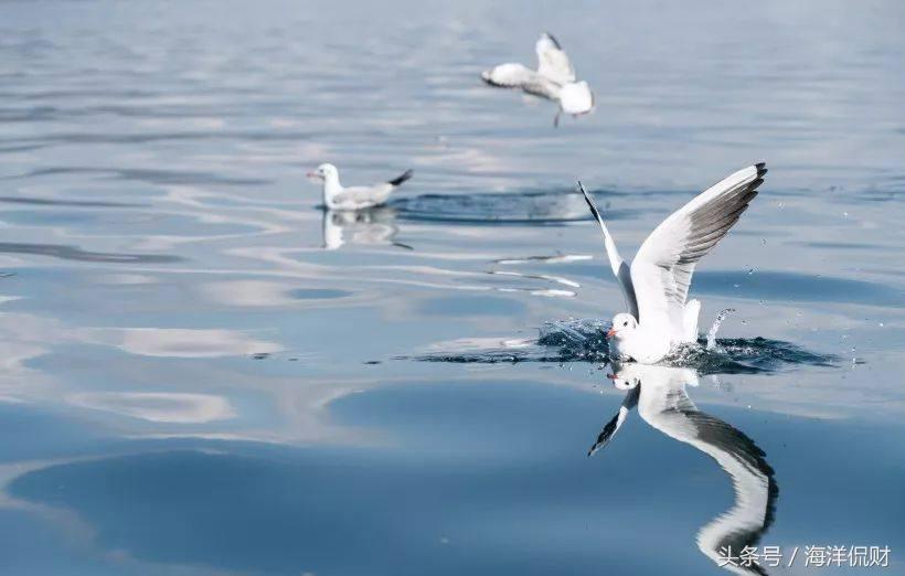 兼职保险代理人需要什么条件,兼职保险代理人好做吗