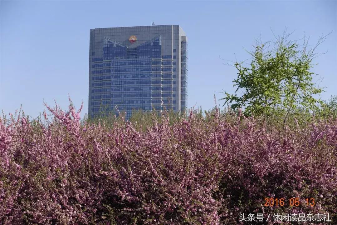 百年泸州老窖窖龄酒90年真假,百年老窖是真的吗