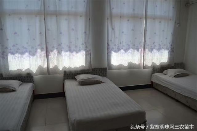 南戴河*哥涛**农家院（成杰宾馆）云烟天外黄金缕，渔火滩头绿酒家！