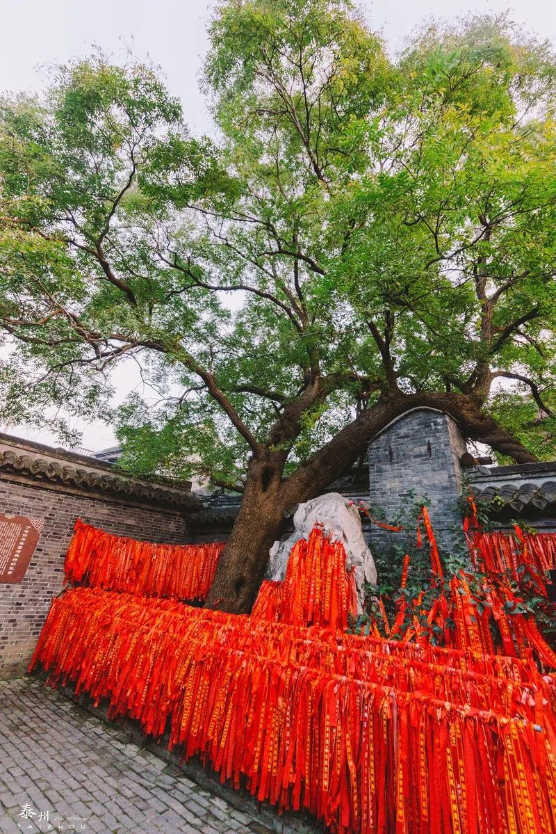 “泰”不一样的江南小城，发现生活中的小确幸｜泰州
