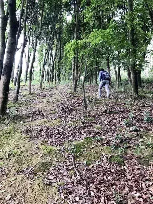 博罗这些清凉的漂流胜地！让你秒切“空调模式”~约起！