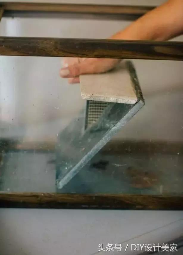 家里的旧鱼缸还可以养什么,废弃的鱼缸可以养花吗