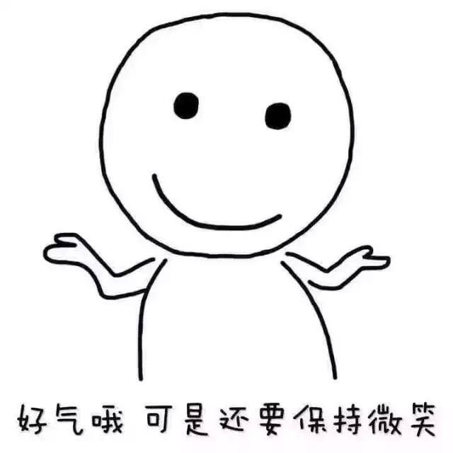 冰岛队的守门员,冰岛守门员