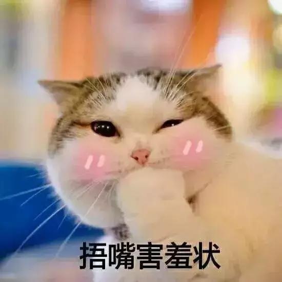 骄傲广州演唱会,骄傲广州站