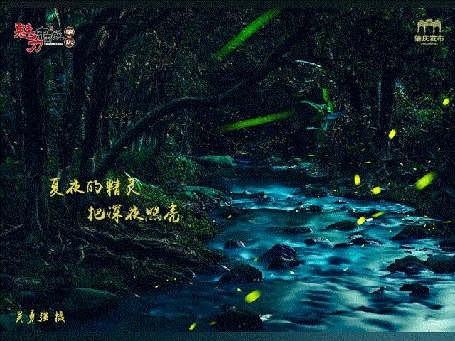 网络赌球输钱能不能报警,网络赌球输了百万无力偿还