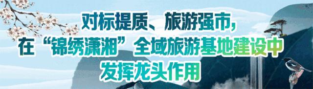 养儿子34年后求助被拒,养儿子34年后求助遭拒