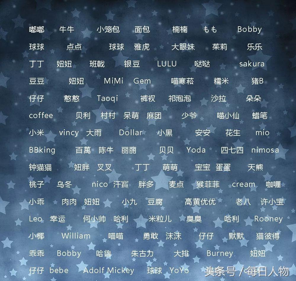 北京女子为狗立碑,北京女子做墓碑送宠物