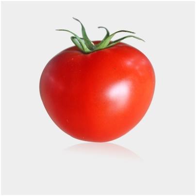 哔哩哔哩哪个主机up主最好,哔哩哔哩有300万多粉丝的游戏up主