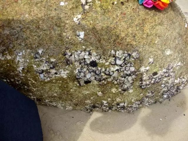 南昌周边有海的城市一日游,南昌周边一个小时可到的风景区