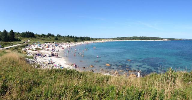 希望每个冬天都来三亚看海踏浪,加拿大好玩的海滩