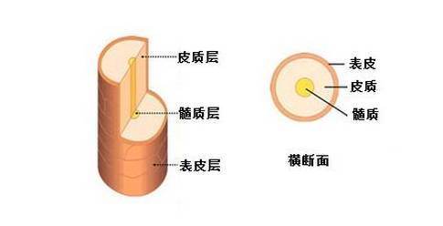 内马尔能驾驭任何头型,2018世界杯内马尔泡面头