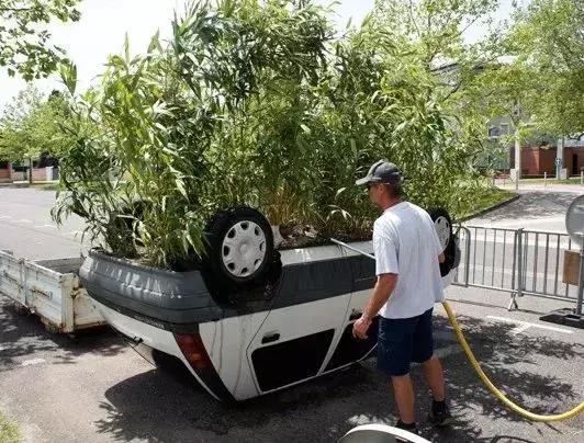 酷萌可爱插画,呆萌可爱的插画