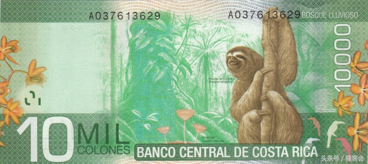 18年世界杯钞票,世界杯货币大全