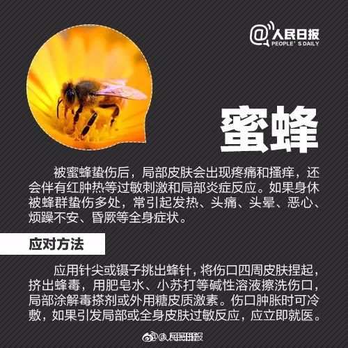 广西一女子被蚂蚁咬伤后不幸身亡,女子被蚂蚁咬伤后续