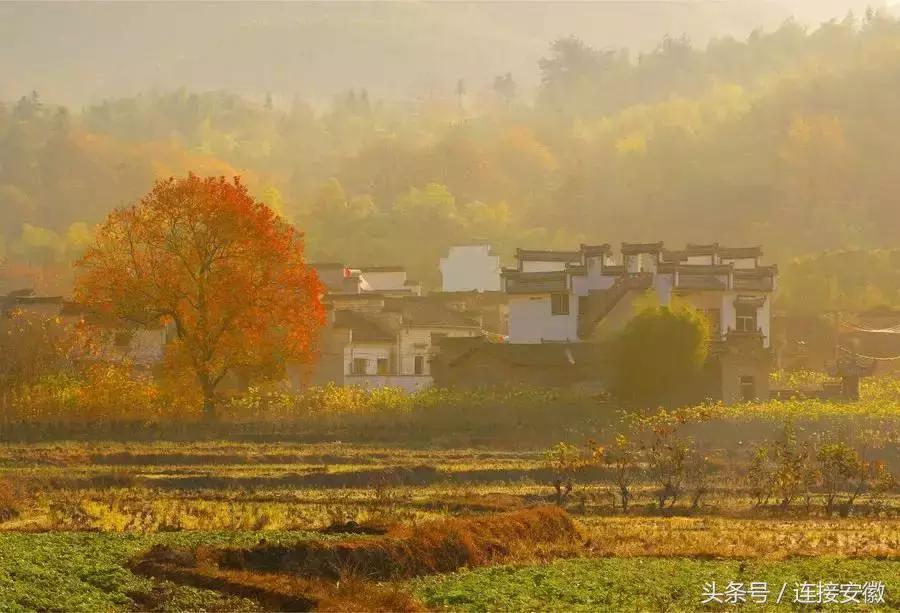 安徽这座城市被评为十大魅力城市,安徽最受重视的县
