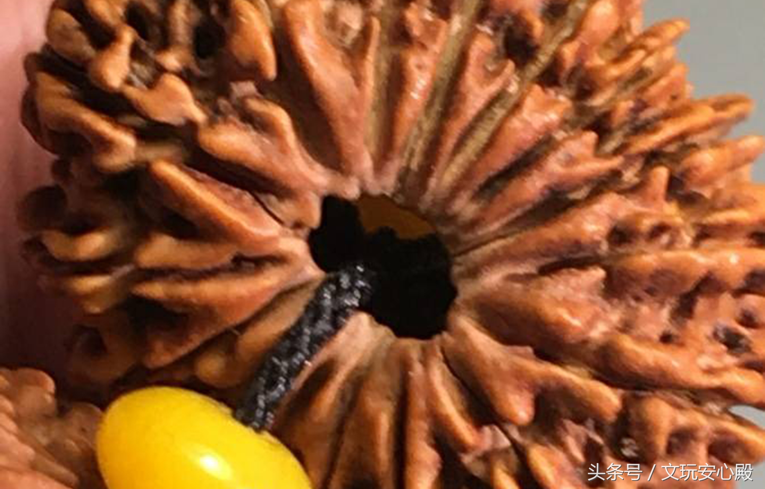 金刚菩提开裂还有玩的价值吗,小金刚菩提子开裂正常吗