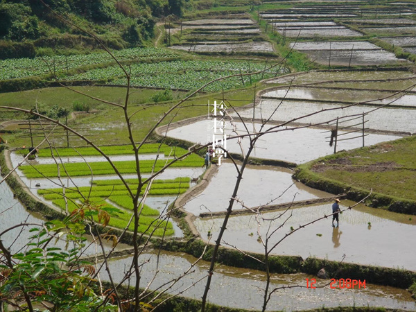 福建著名温泉度假村,福建温泉第一城在哪里