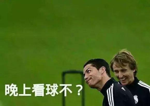 高晓松晓说阿根廷,高晓松对欧洲杯的看法