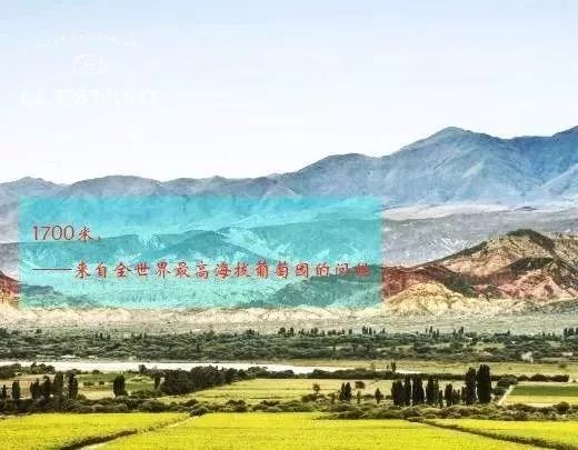 阿根廷外交大使马尔贝克红酒,阿根廷唐大卫红酒