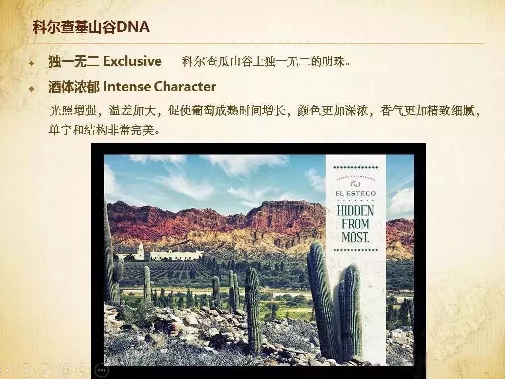 阿根廷外交大使马尔贝克红酒,阿根廷唐大卫红酒