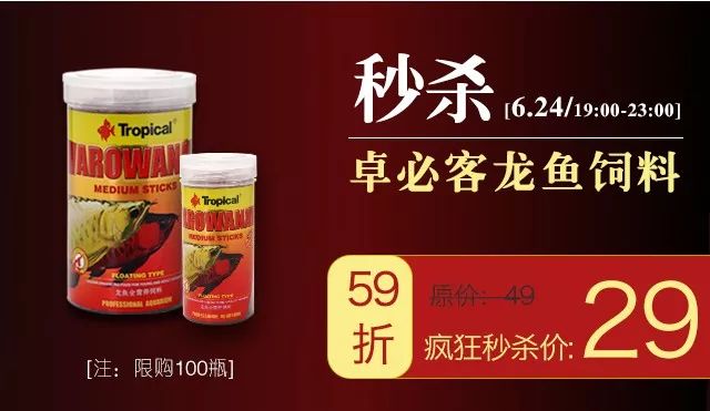 newa系列水泵,欧卡新款水泵