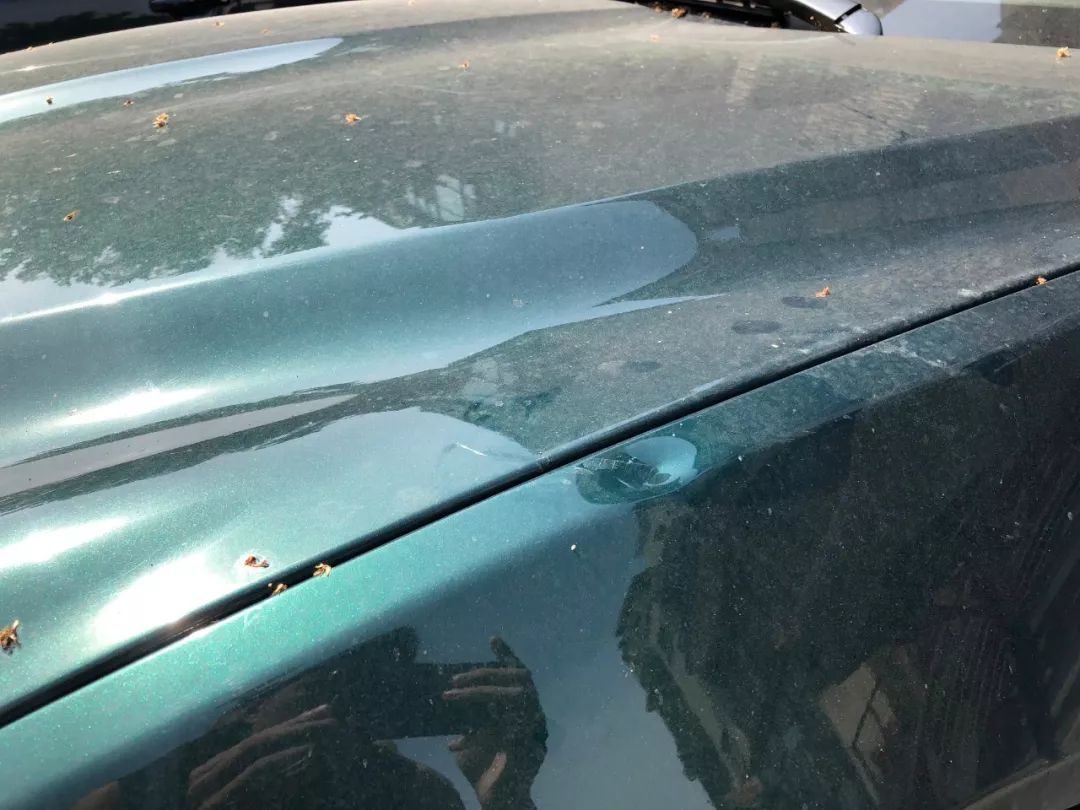 北京一男子在公路上砸车,男子足彩输了钱