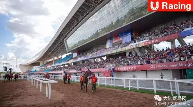 伊泰大漠马场,内蒙古伊泰杯2023