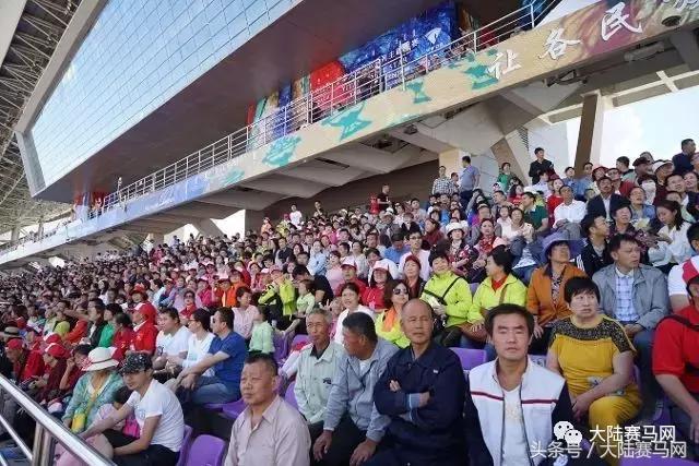 内蒙古伊泰大漠马业在哪里,内蒙古伊泰大漠马业