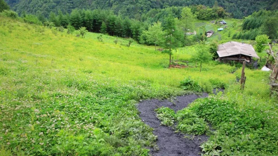 成都周边小众森林秘境,成都周边有山有水还免费的地方