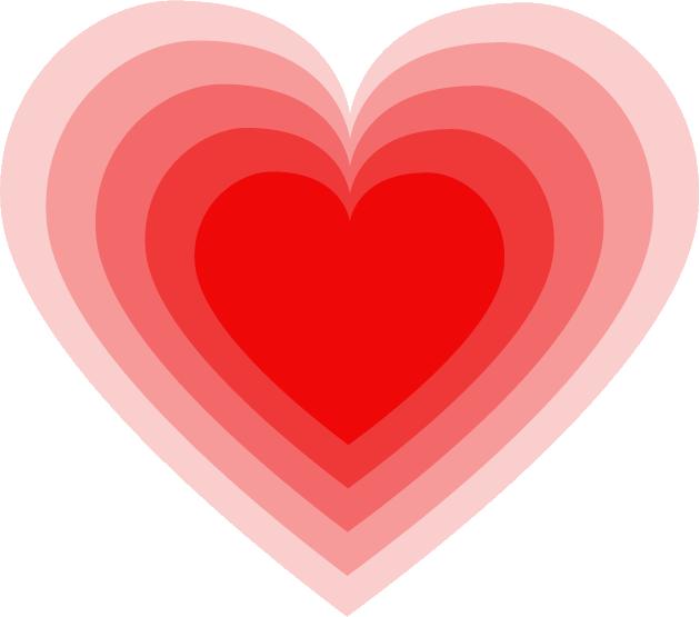 无为中学高考理科第一,无为市无为中学2016年高考状元