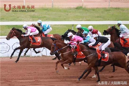 赛马点亮城市新名片：两位双冠王闪耀伊泰大漠“鄂尔多斯金杯”
