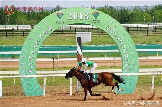 2018伊泰大漠马业系列纯血速度赛马赛事“鄂尔多斯金杯”圆满举办