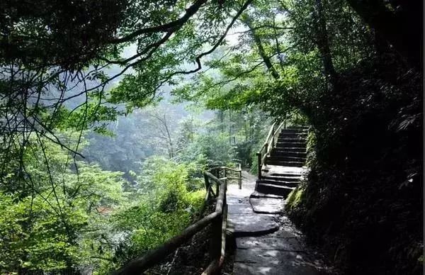 川藏铁路雅安至天全路段详细图,川藏铁路成都到蒲江2020年开工