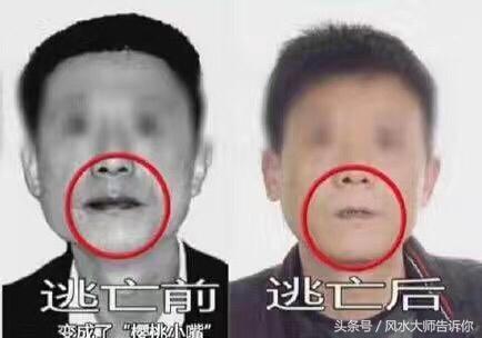 面相术基础知识讲解,面相学的重点知识点